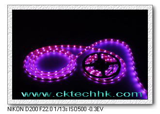 LED strip light series 3528SMD casing epoxy waterproof